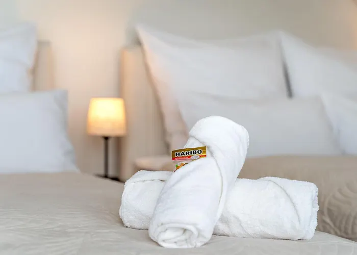 Apartman Flair Stadtoase I Private Sauna & Whirlpool I Balkon I 2x Parken I Kaffee I Highspeed Wlan I *